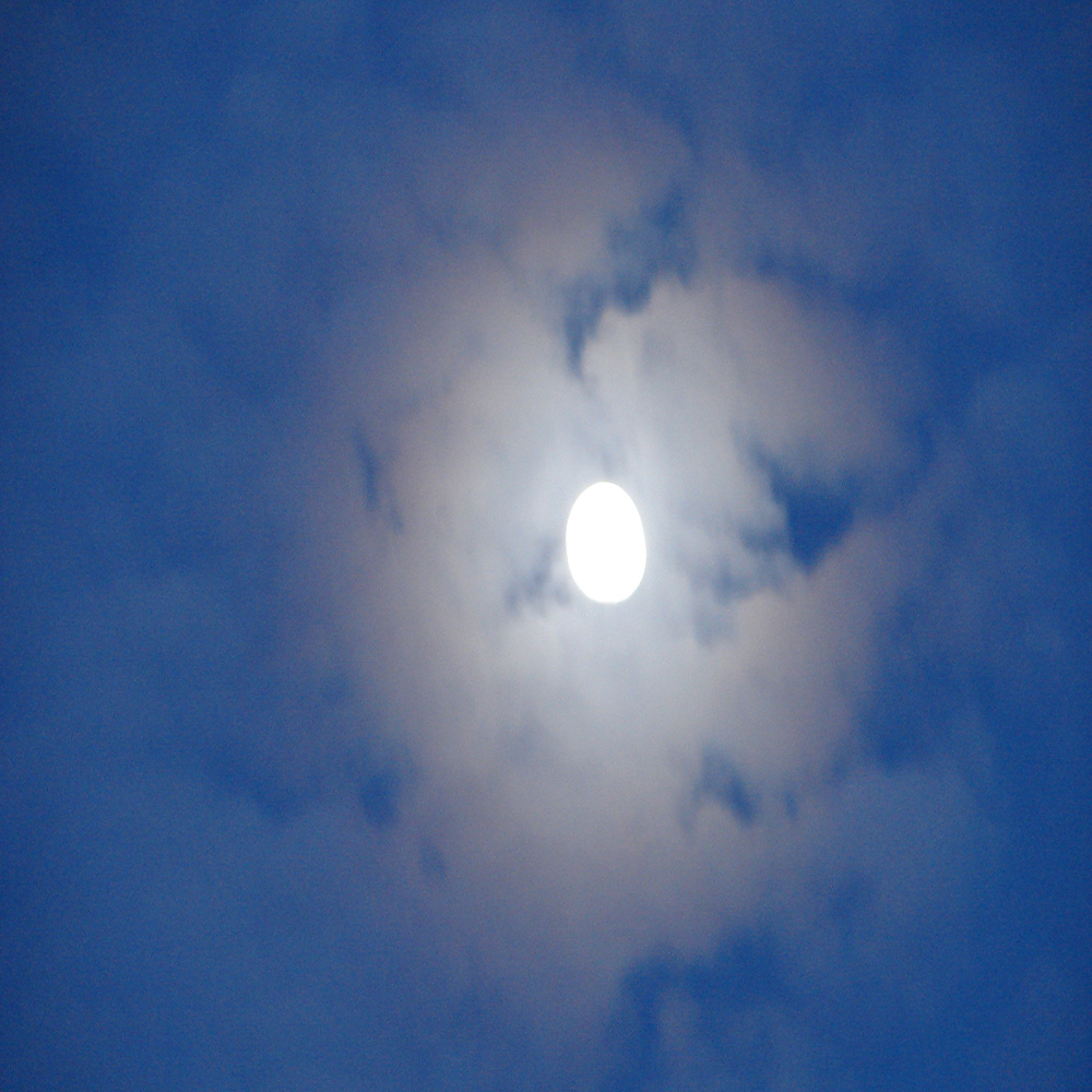 DSC06086
